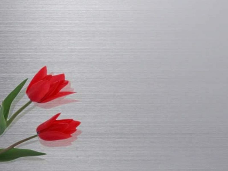 jy网页板材201#和304#有什么区别？